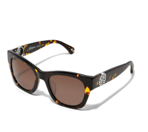 Brighton Sunglasse