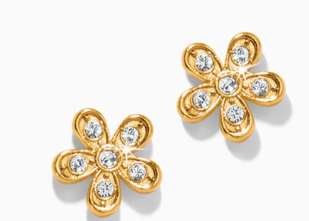 Brighton Earring