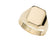 14K Gold Polished Rectangular Signet Ring